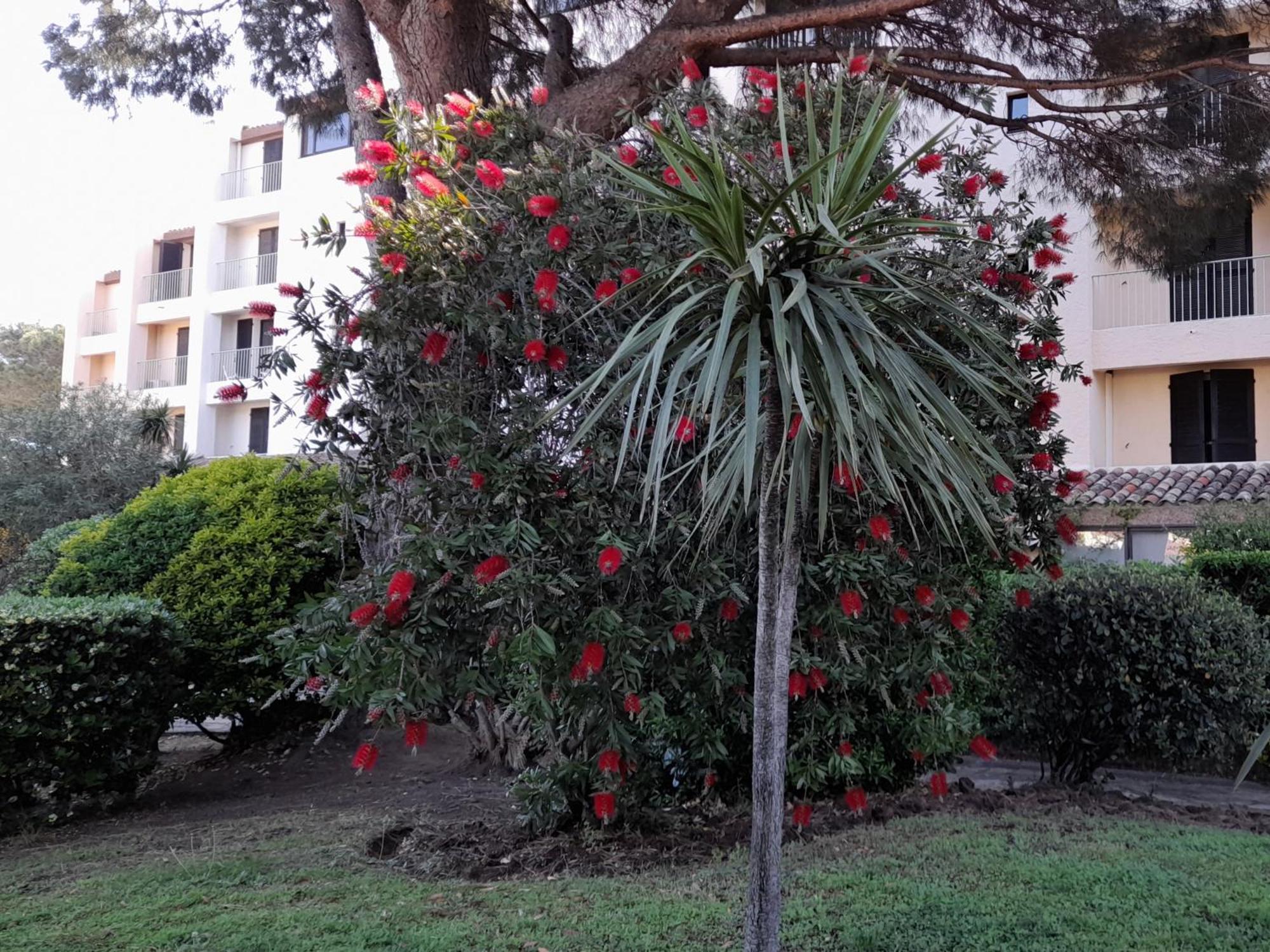 Appartamento Marina Bella Cogolin Esterno foto